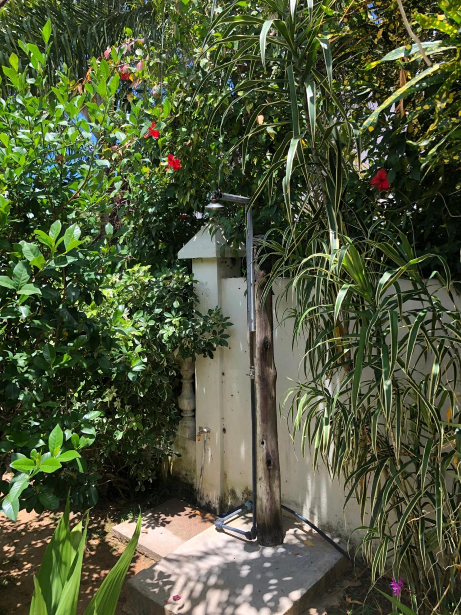 Sunbird Bungalow Anse Boileau Esterno foto